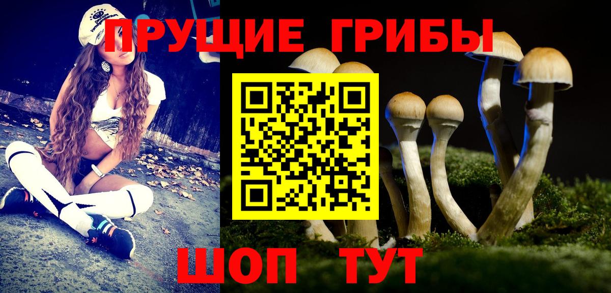 Мефедрон кристаллы  Вход с VPN  ГАШИШ  Кодеин  ГАШ  Где найти наркотики?  Осинники  Alpha-PVP СОЛЬ кристаллы 