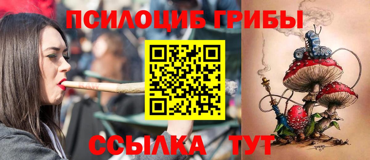 Псилоцибиновые грибы Psilocybe  Вход с VPN  цены наркотик  Осинники 