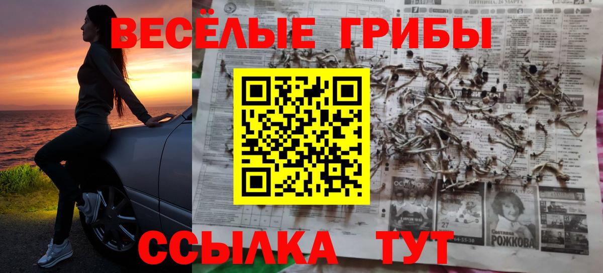 Галлюциногенные грибы GOLDEN TEACHER Осинники